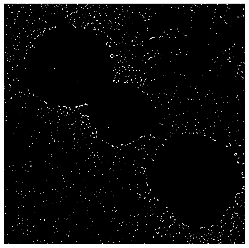 Preparation method for lysosomal membrane coated nanoparticle