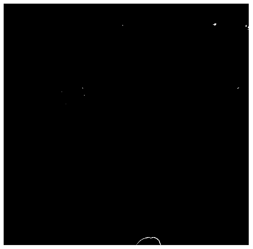 Preparation method for lysosomal membrane coated nanoparticle