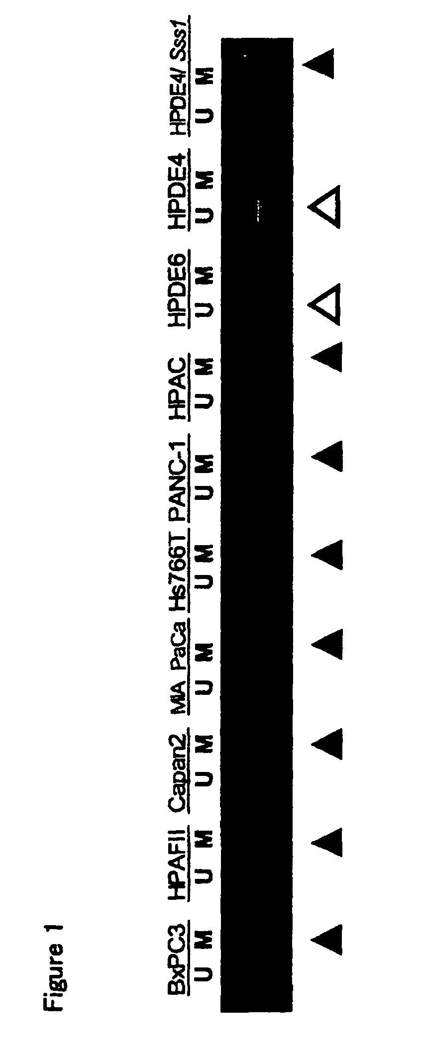 Method for assessing cancerous state