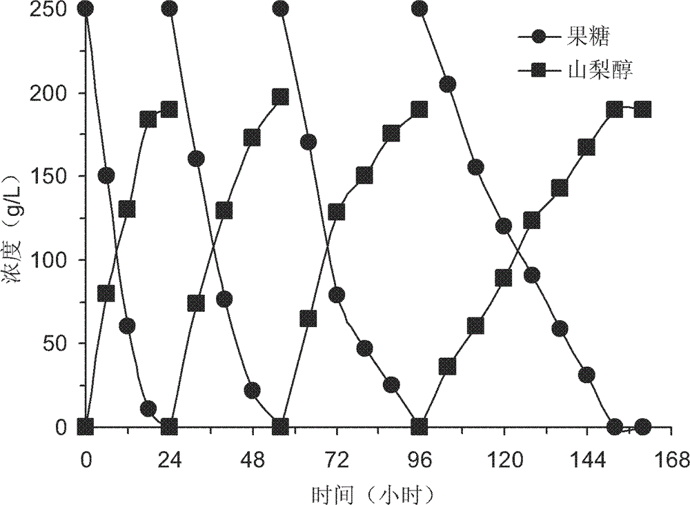 Method for catalyzing inulin fructose and cassava glucose to produce high-concentration sorbitol and gluconic acid by using immobilized movement fermented monas