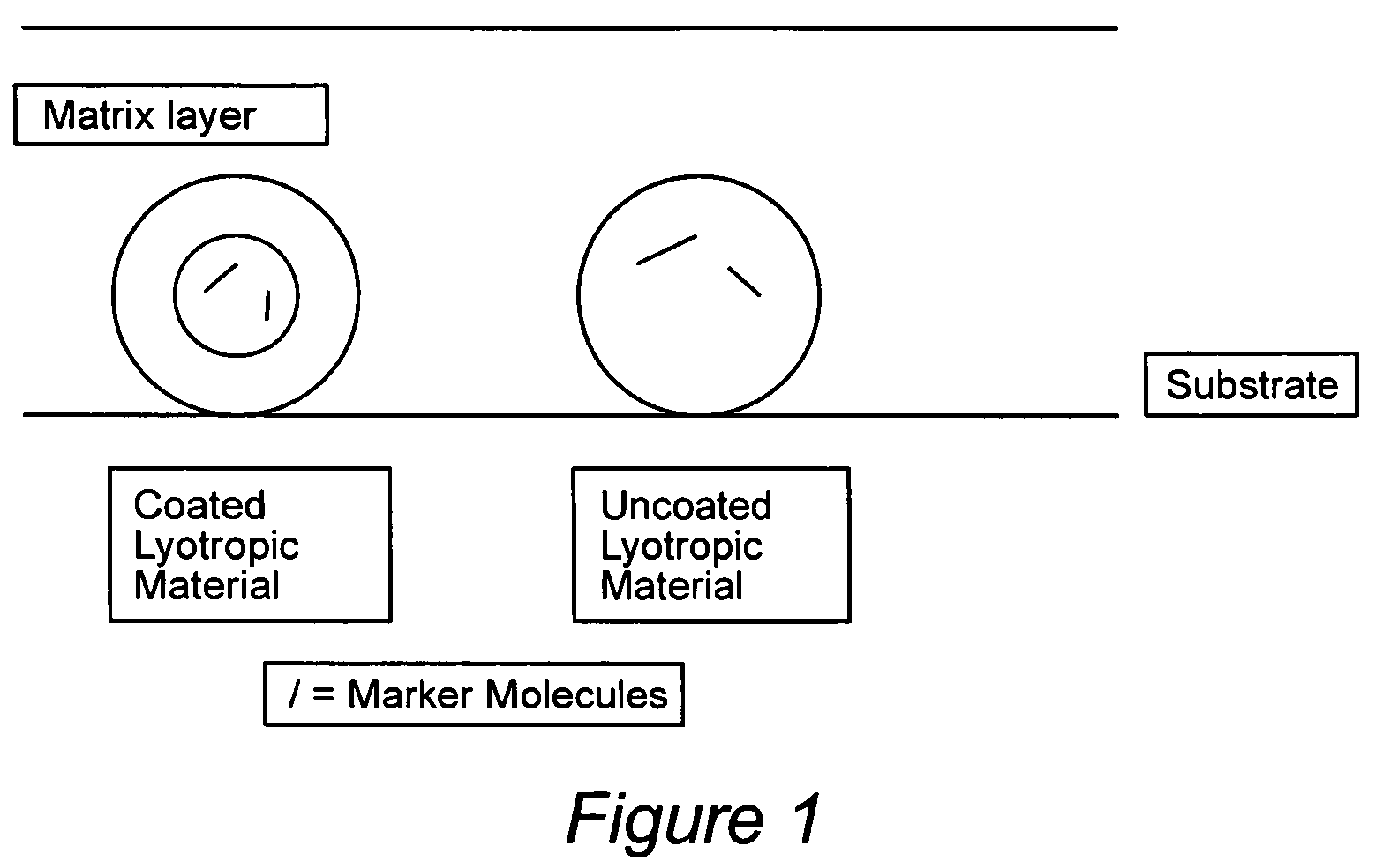 Compositions for binding to assay substrata and methods of using