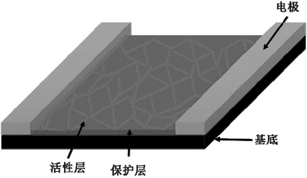 Photoelectric detector with mesh-shaped perovskite nanowires and fabrication method of photoelectric detector