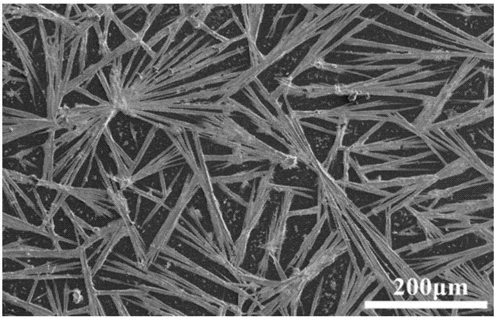 Photoelectric detector with mesh-shaped perovskite nanowires and fabrication method of photoelectric detector