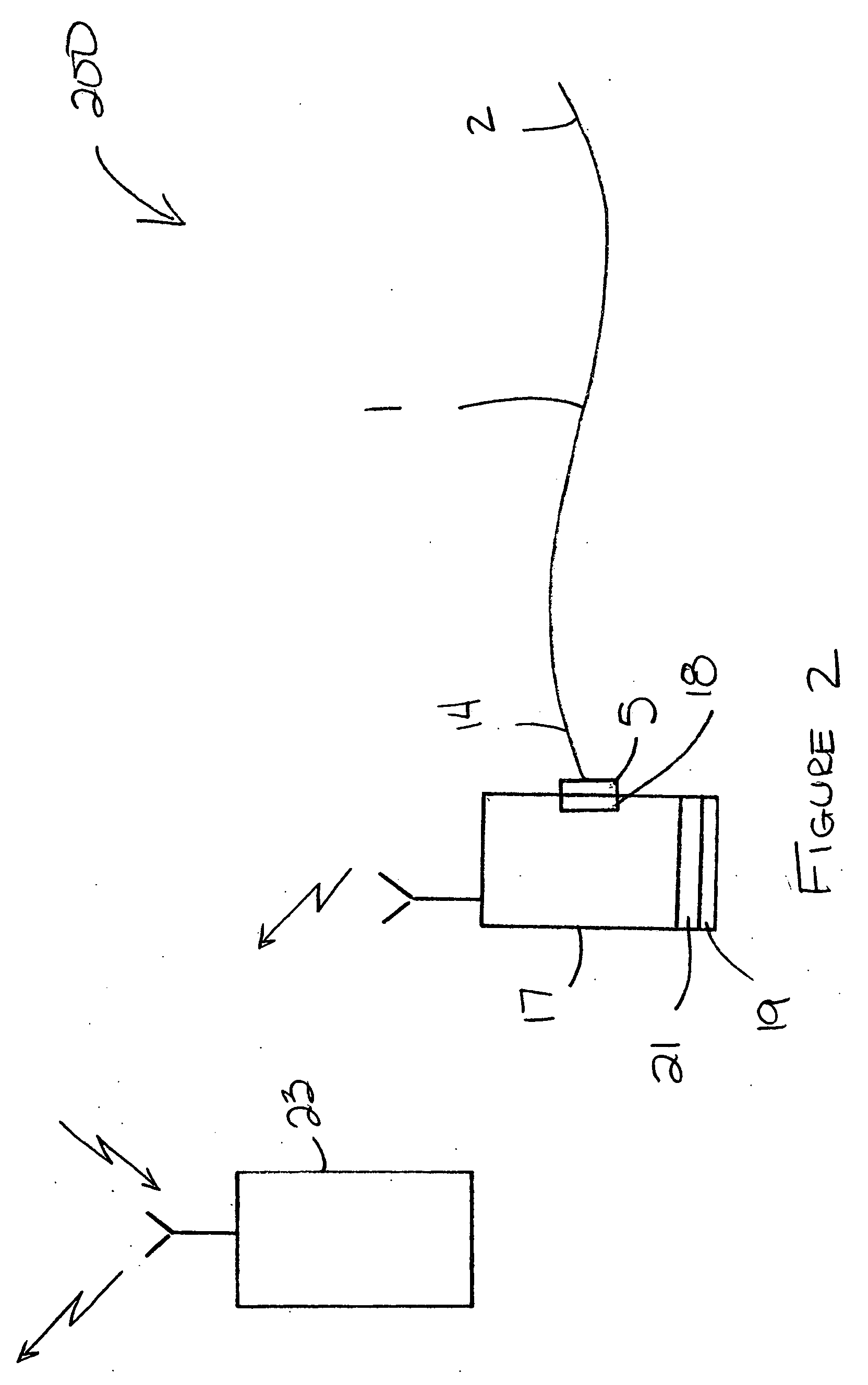 Biological signal sensor on a body surface