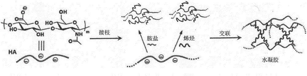 Drug-loaded hyaluronic acid nanofiber composite dressing and preparation method thereof