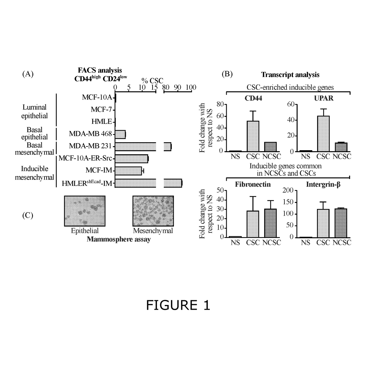 Methods and compositions for modulating cancer stem cells