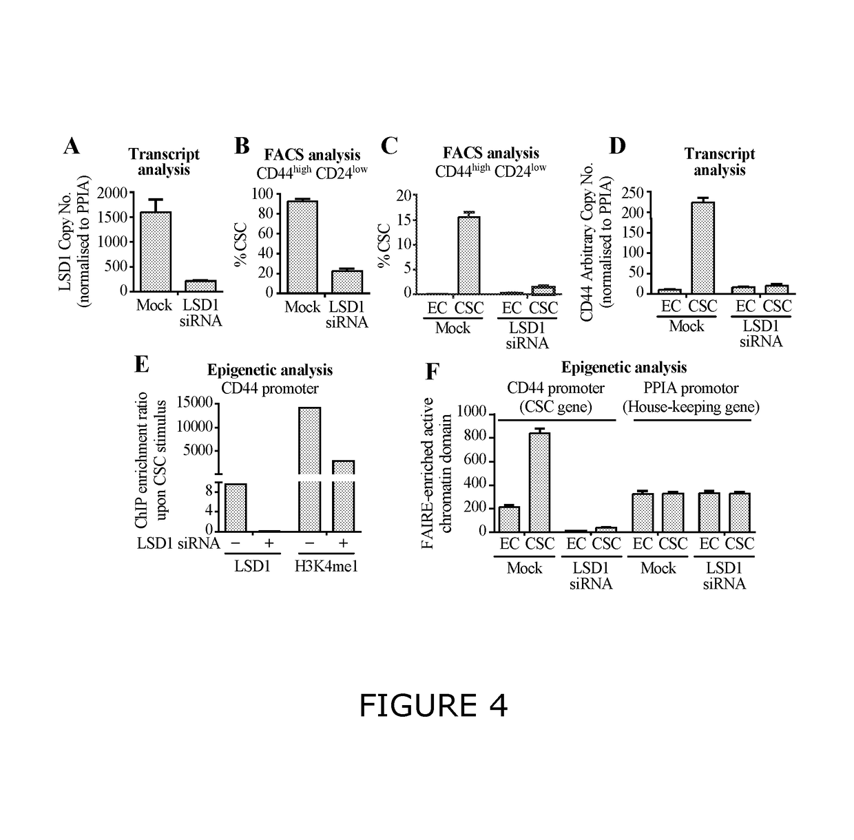 Methods and compositions for modulating cancer stem cells