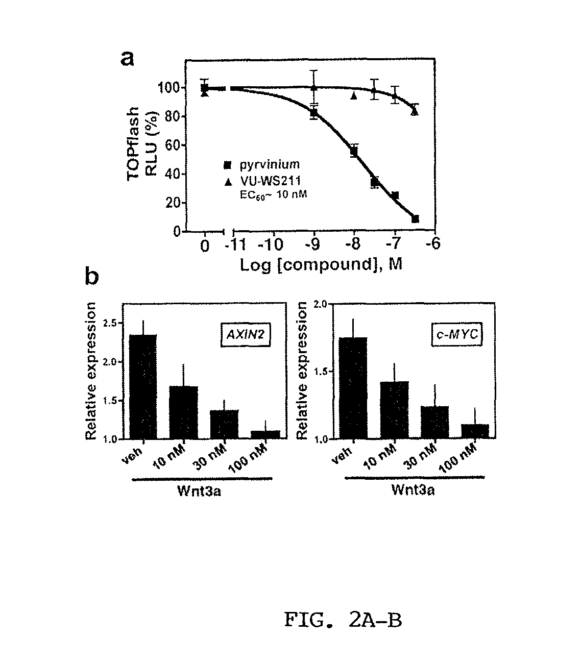 Methods of using an antibody to inhibit WNT-mediated cardiac remodeling