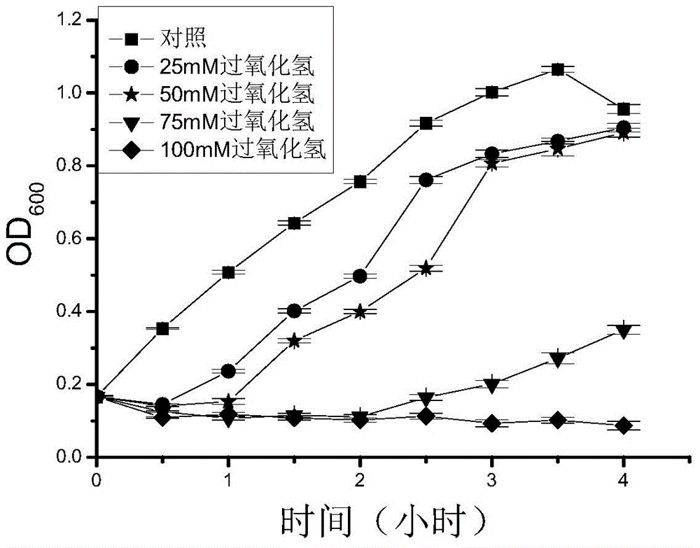 Method for measuring antioxidant activity of materials