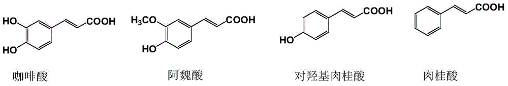 Method for measuring antioxidant activity of materials