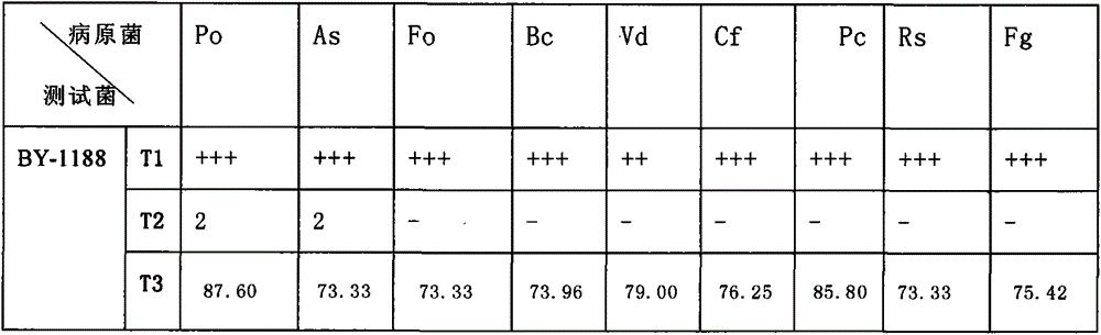 Bacillus marinus with multiple plant functions and application thereof