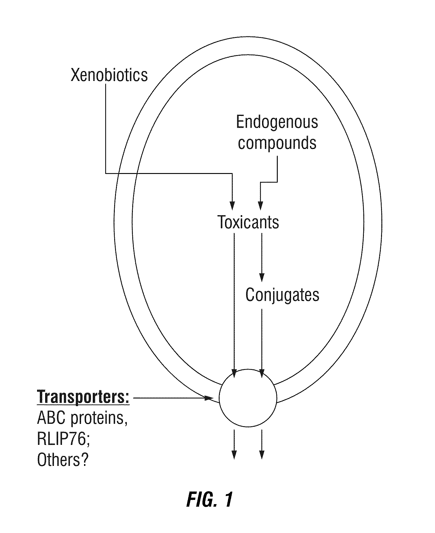 Protection against and treatment of ionizing radiation