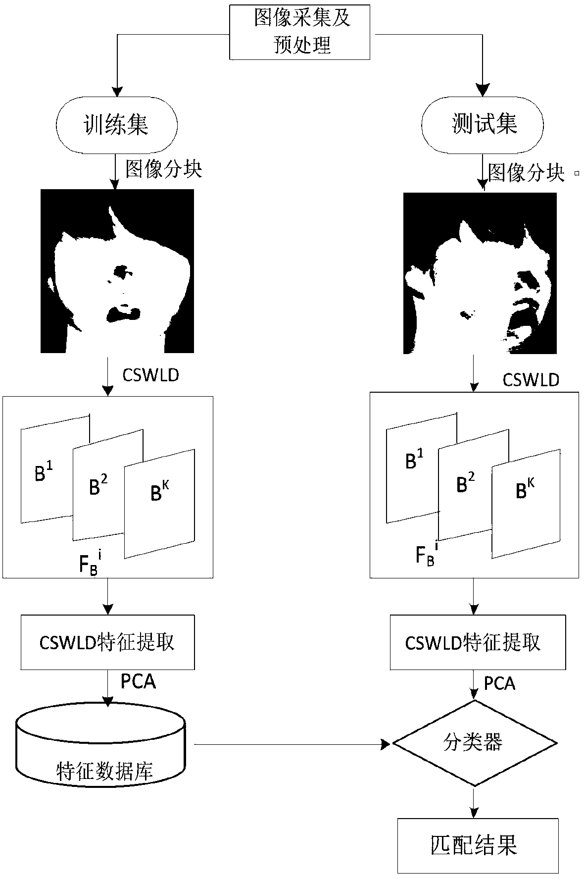 Face recognition feature extraction algorithm based on totally symmetric local Weber descriptor