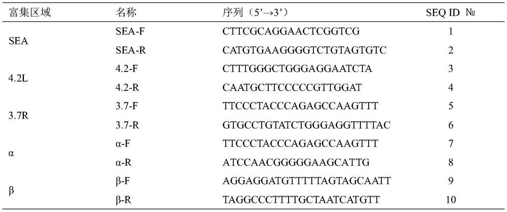 A kit for detecting alpha and beta globin gene sequences in one tube