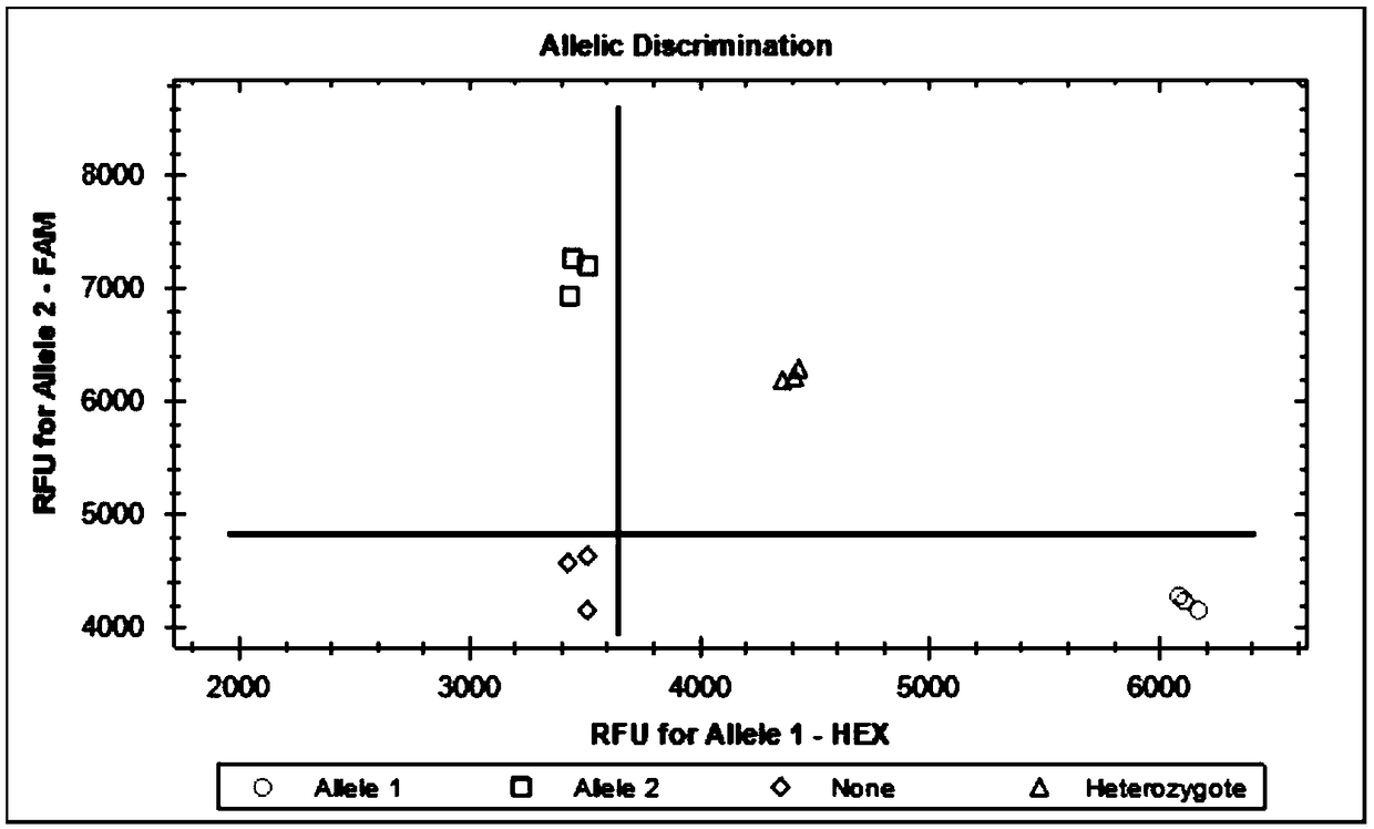 KASP functional molecular marker of rice blast resistance gene Pi2 and application of KASP functional molecular marker