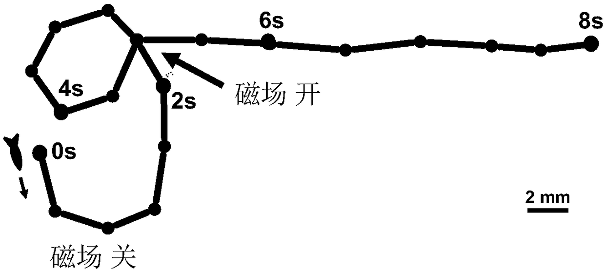 A kind of preparation method and application of hydrogel and amphoteric hydrogel shaped body