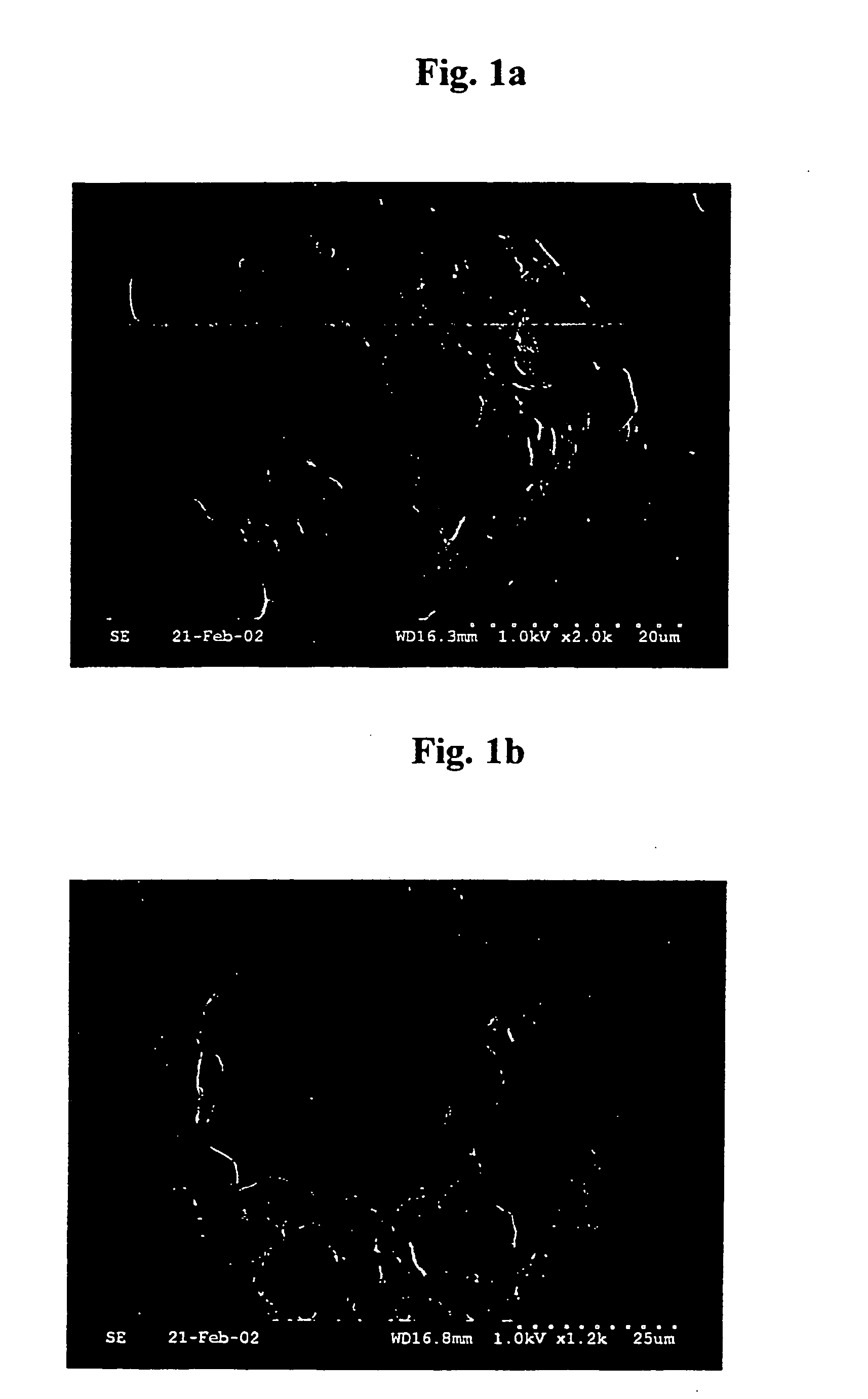 Polymeric microparticulates for sustained release of drug and their preparation methods