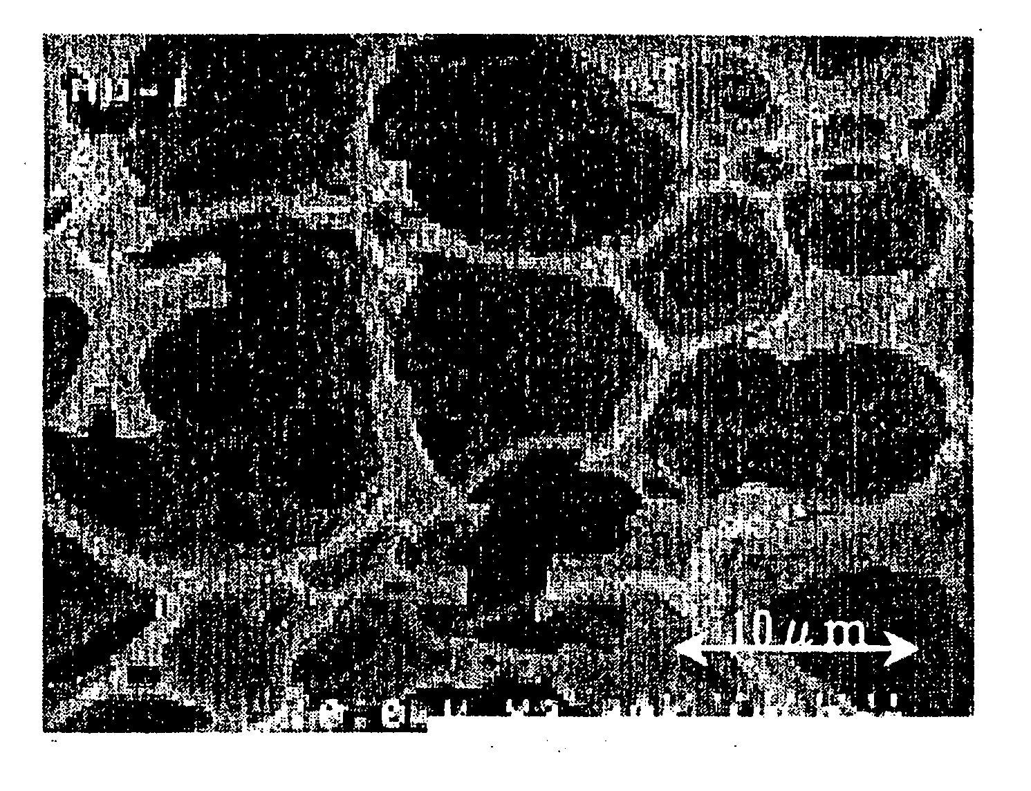 Non-particulate organic porous material having optical resolution capability and method for manufacturing same