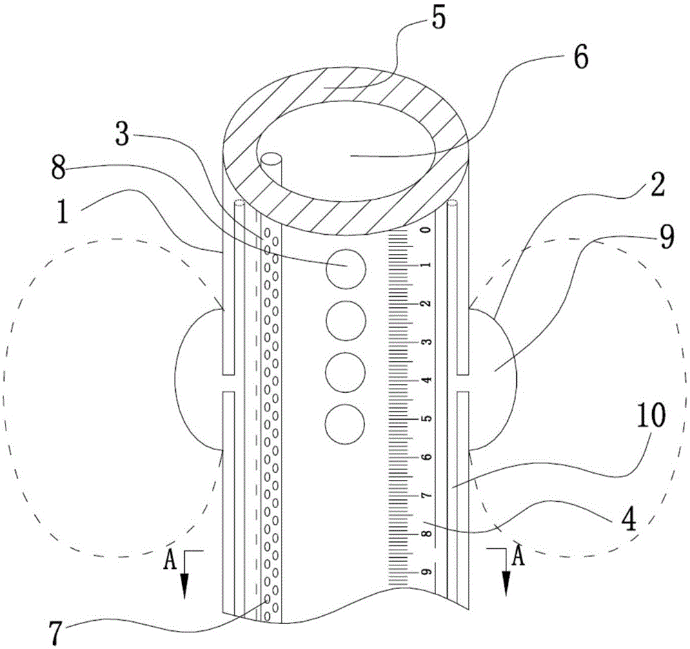 Double-balloon drainage tube for abdomen or chest