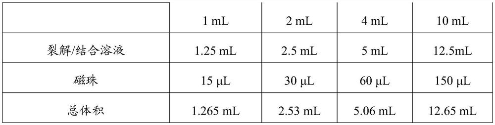 Marker and probe composition for screening liver cancer and application of marker and probe composition