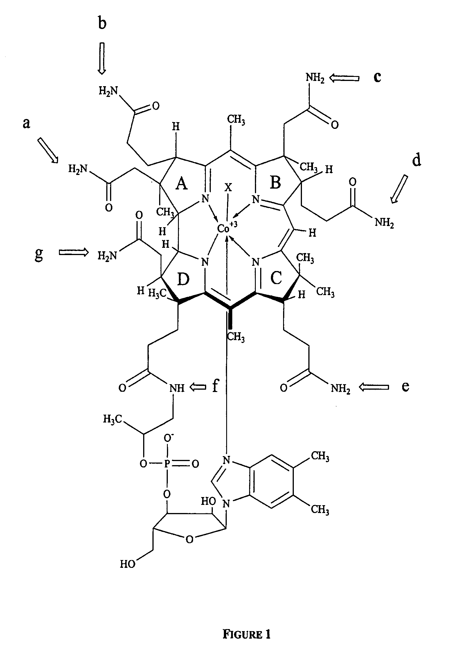 Transcobalamin receptor binding conjugates useful for treating abnormal cellular proliferation