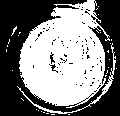 Bacillus licheniformis 7172 and application thereof