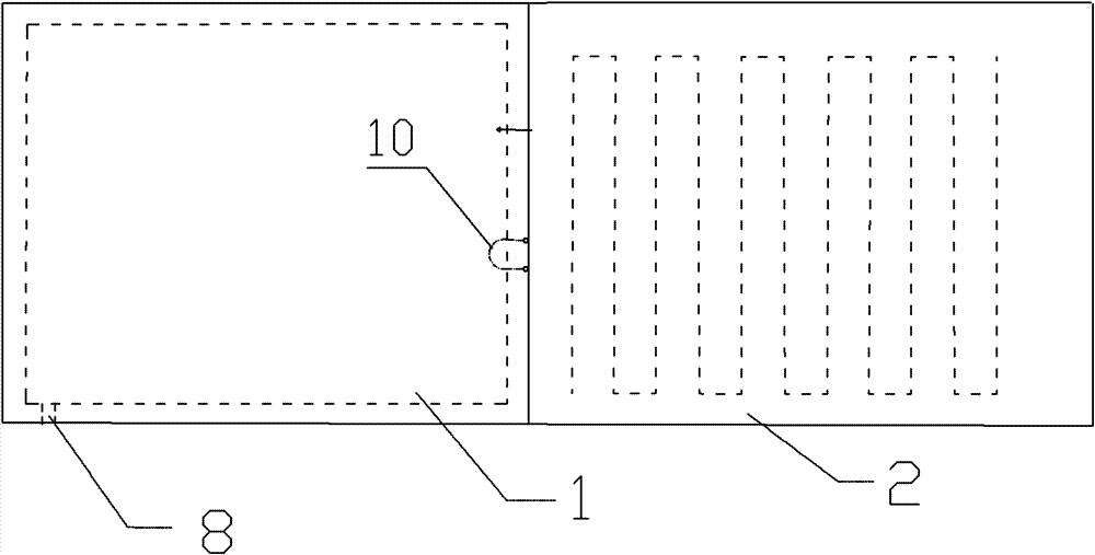 Sole snow clearing device