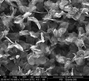 High-performance aluminum/carbon composite electrode foil and preparation method thereof