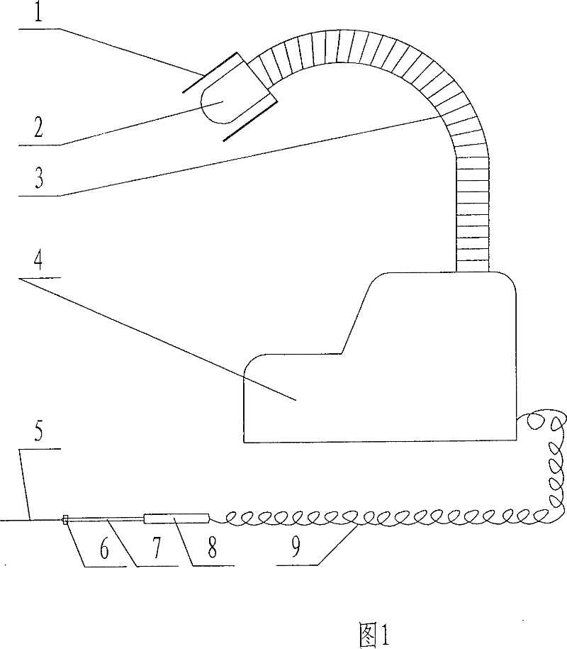 Fulgerizing sterilizer of oese (needle)