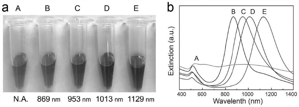 Cell membrane targeting nanoprobe, preparation thereof and application of nanoprobe in light response regulation of neuron calcium ion flow