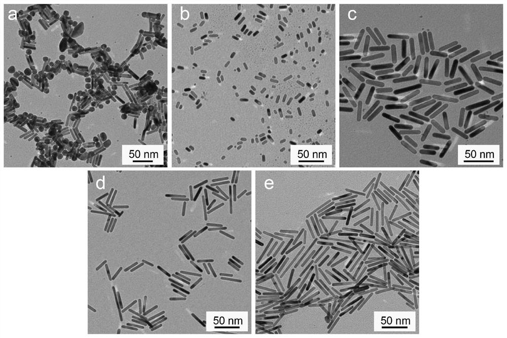 Cell membrane targeting nanoprobe, preparation thereof and application of nanoprobe in light response regulation of neuron calcium ion flow