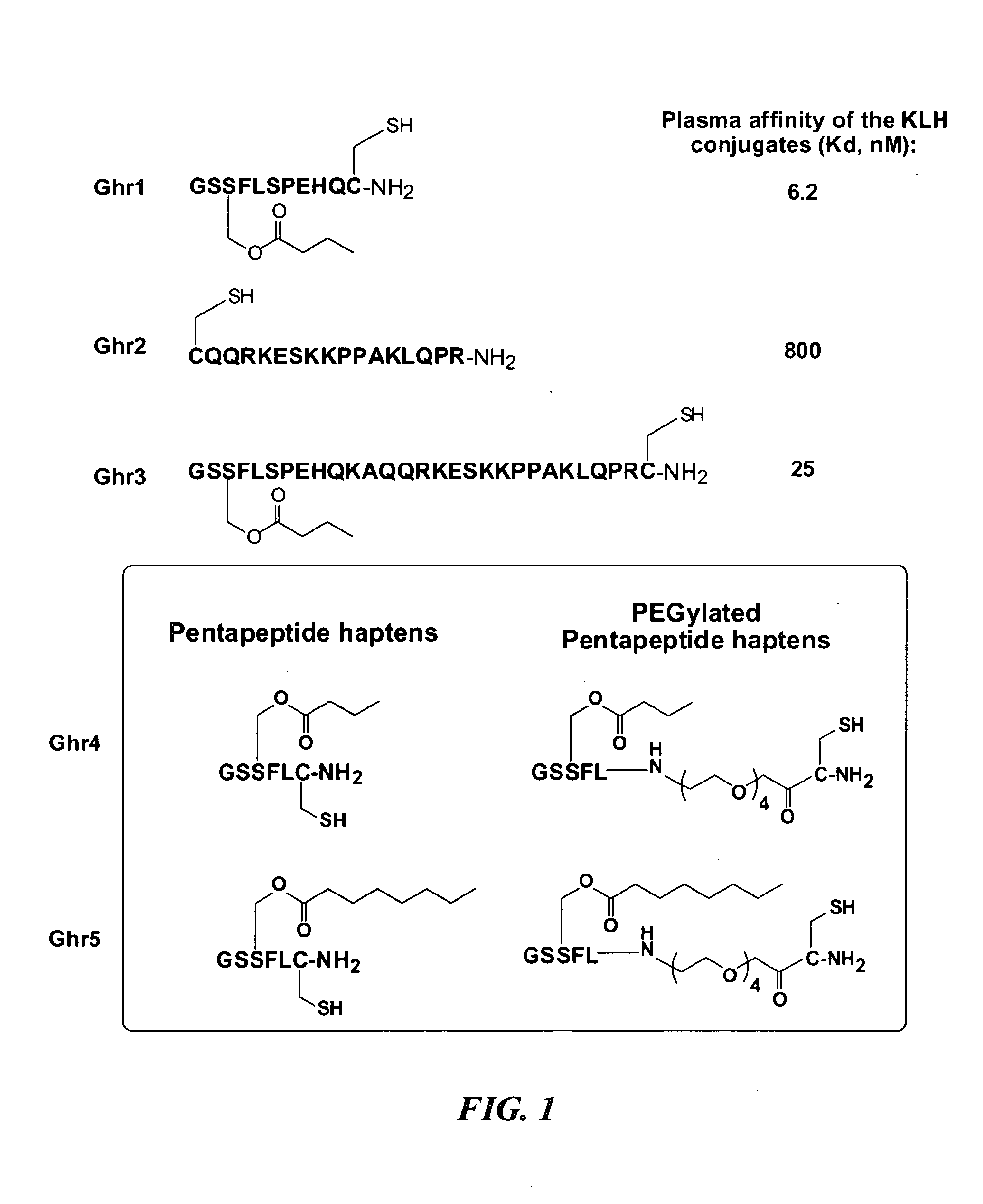 Ghrelin Mimetic Polypeptide Hapten Immunoconjugates Having Improved Solubility and Immunogenicity and Methods of Use Thereof