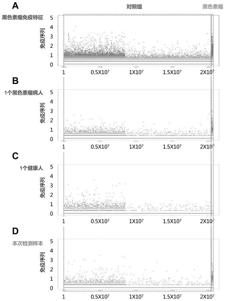 Peripheral blood TCR marker of melanoma as well as detection kit and application of peripheral blood TCR marker