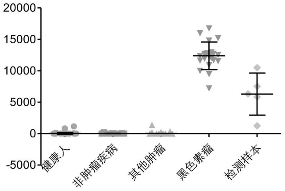 Peripheral blood TCR marker of melanoma as well as detection kit and application of peripheral blood TCR marker