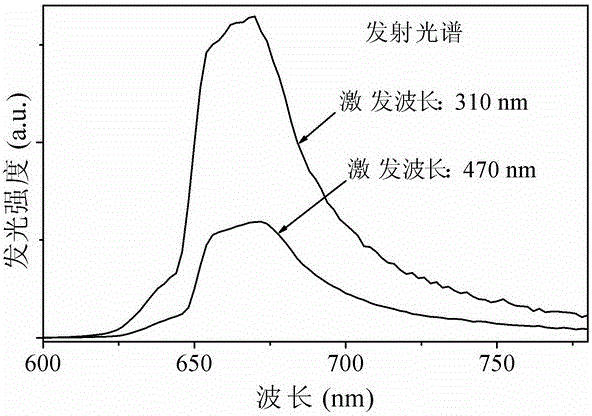 A tetravalent manganese ion doped magnesium lithium niobate red fluorescent material and preparation method thereof