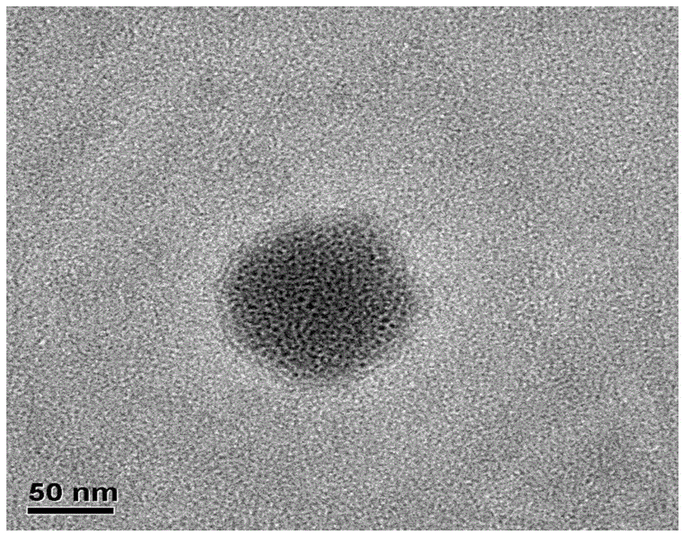 Controlled-release hepatoma cell vaccine depending on granulocyte-macrophage colony-stimulating factor (GM-CSF) wrapped by nanoparticles