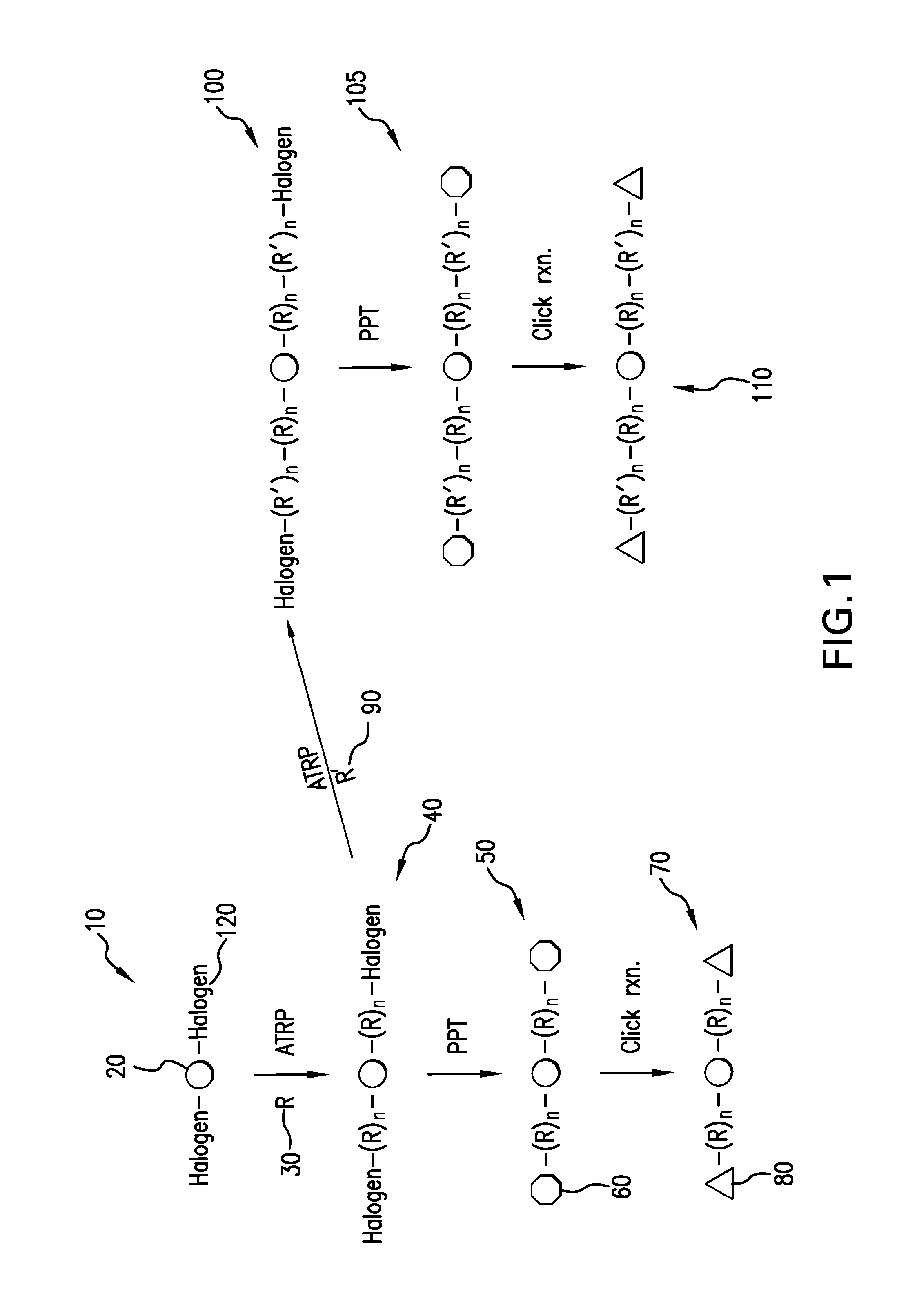 Method of preparing a star polymer macromonomer