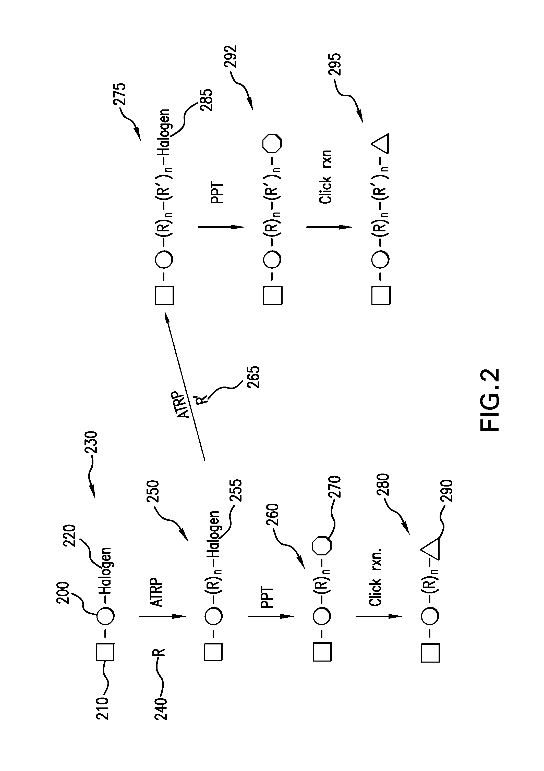 Method of preparing a star polymer macromonomer