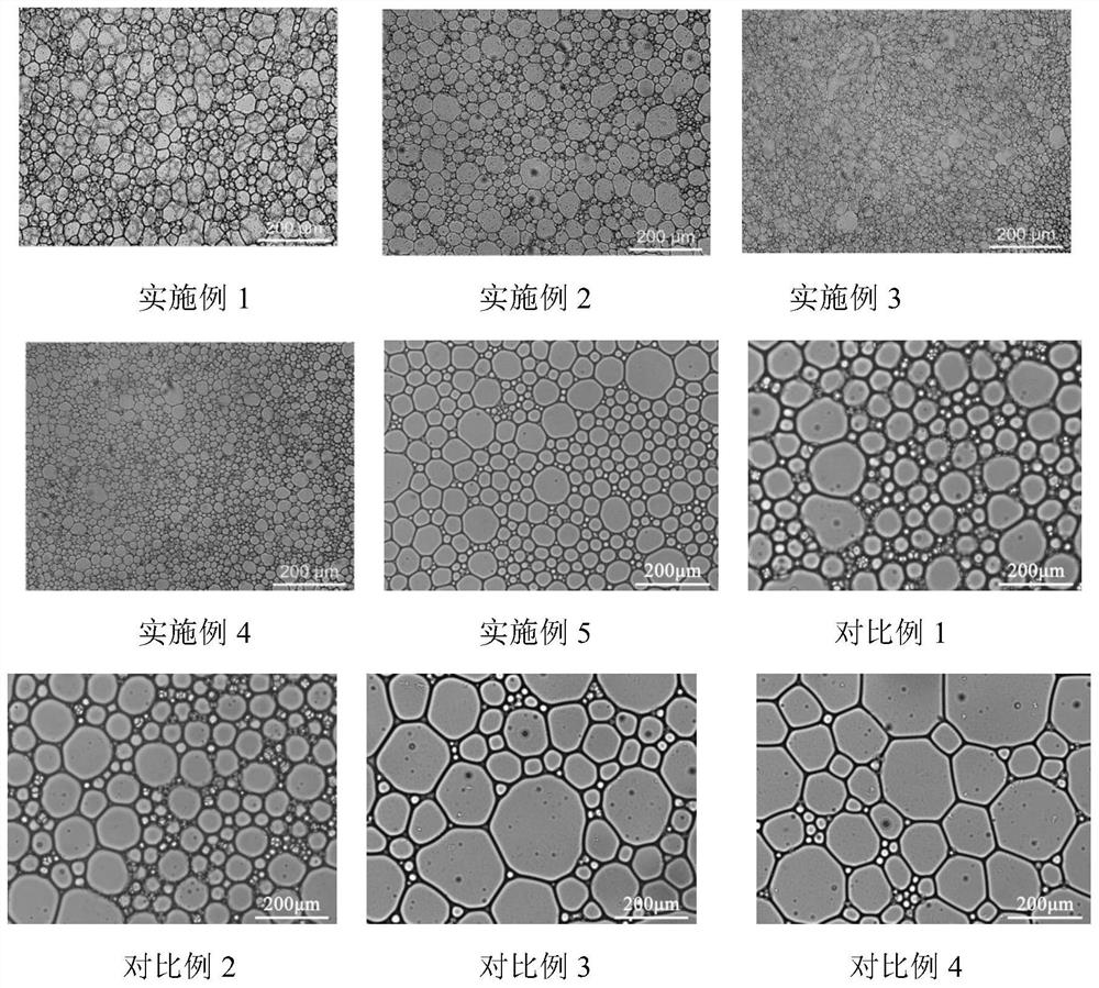 Method for preparing healthy fat substitute based on pea/mung bean protein