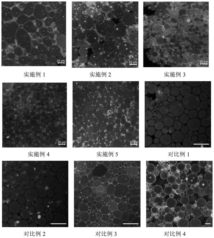 Method for preparing healthy fat substitute based on pea/mung bean protein