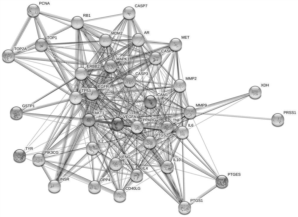 Luteolin-autism related action gene target and screening method thereof