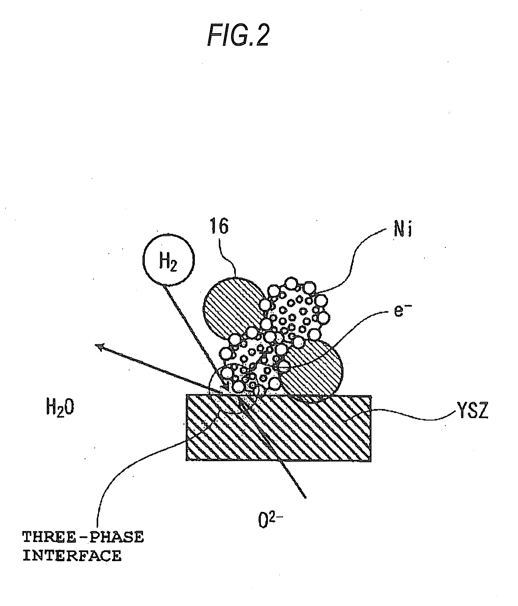 Fuel electrodes for solid oxide electrochemical cell, processes for producing the same, and solid oxide electrochemical cells