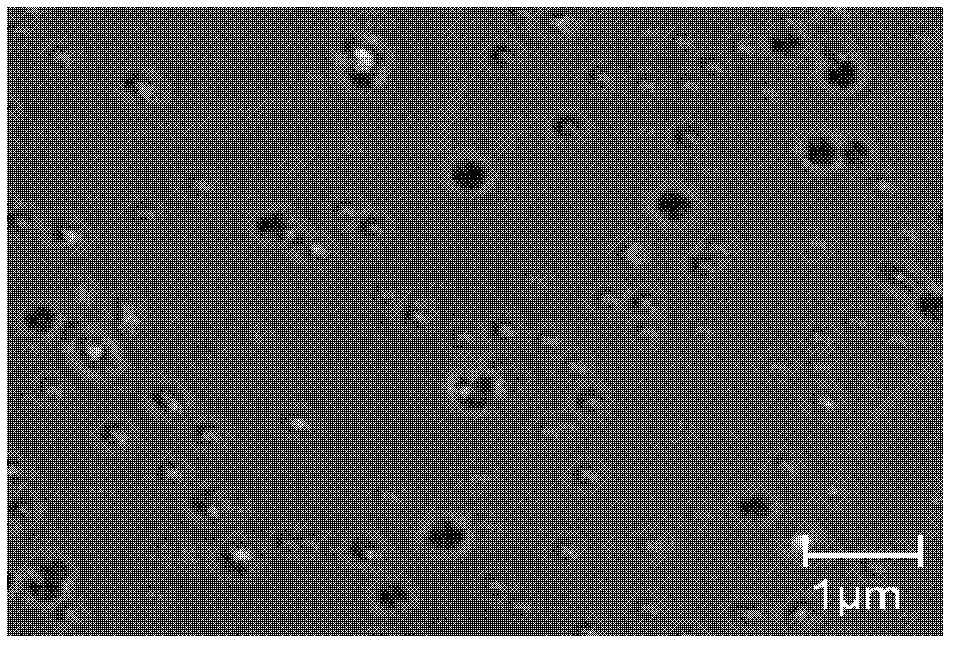 10-hydroxycamptothecine invisible nano-particle sustained release preparation and preparation method thereof