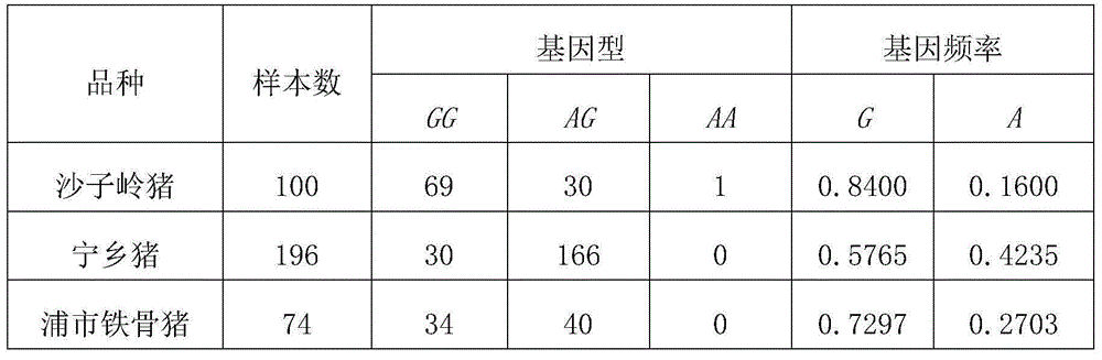 Molecular cloning and application of pork quality character related gene Myo6 (Myosin 6)