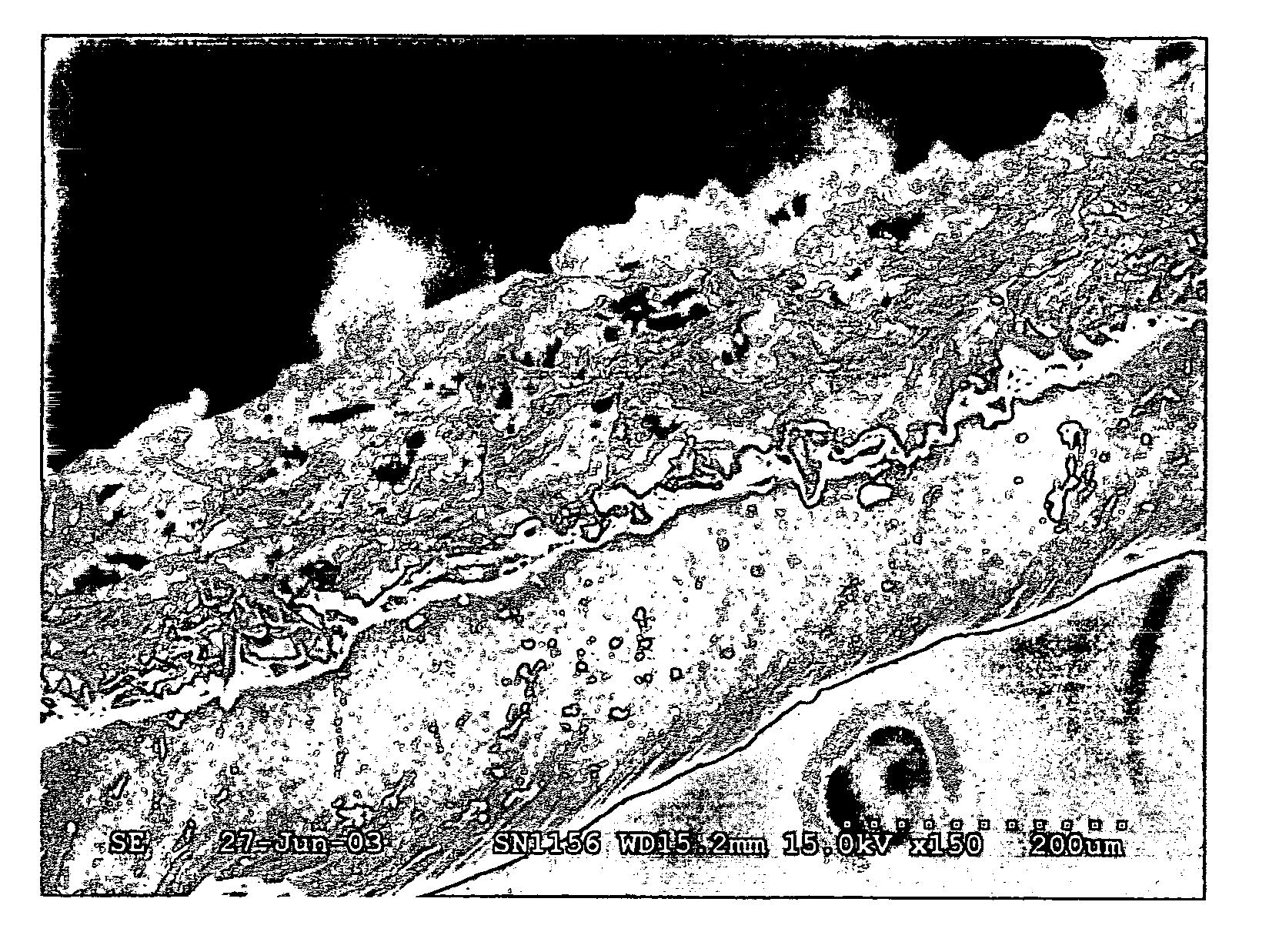 Polymer composite fibrous coating on dipped rubber articles and method