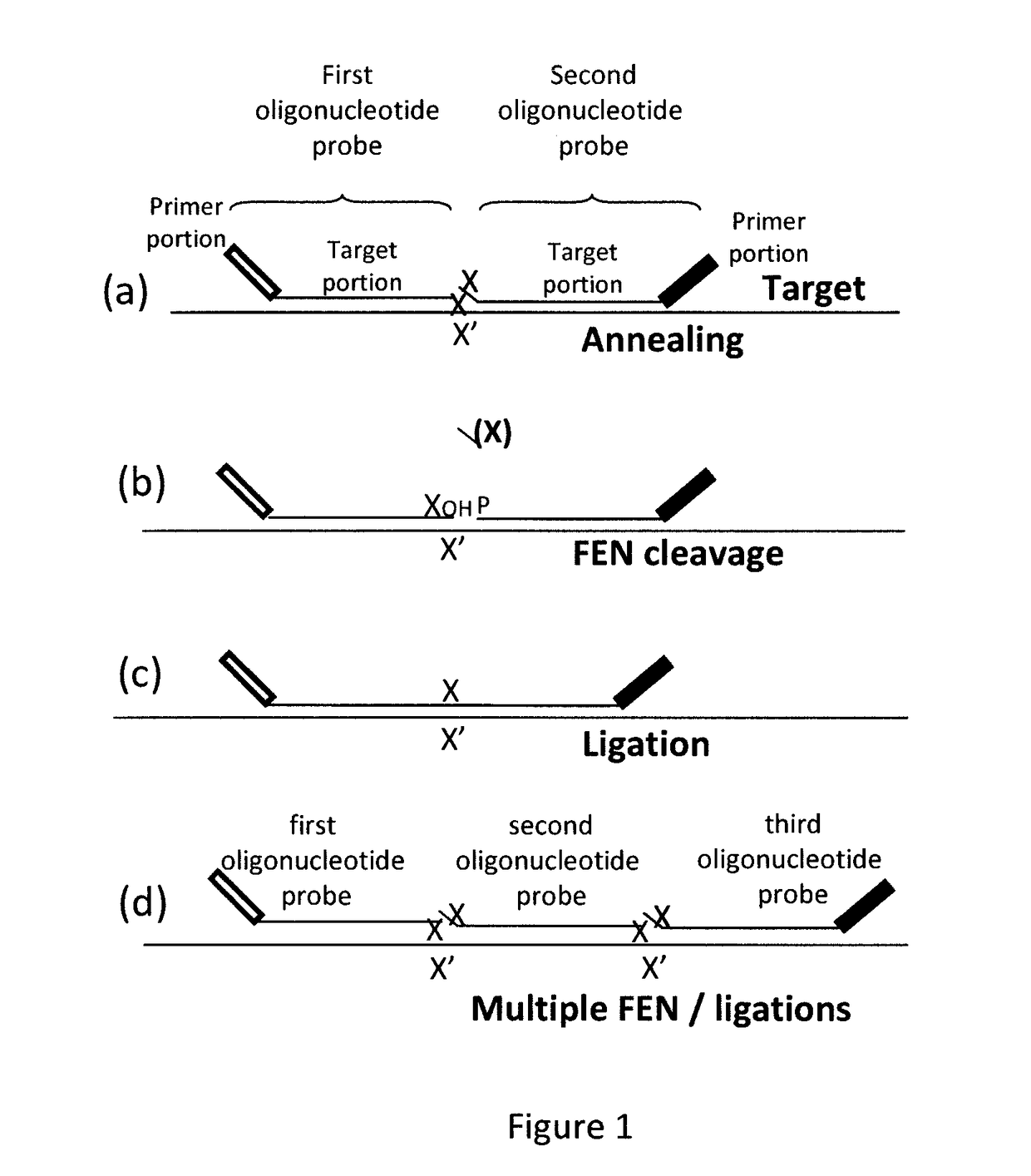 Method for relative quantification of nucleic acid sequence, expression, or copy changes, using combined nuclease, ligation, and polymerase reactions