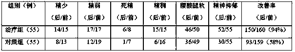 Traditional Chinese medicine composition for treating male infertility and preparation method thereof