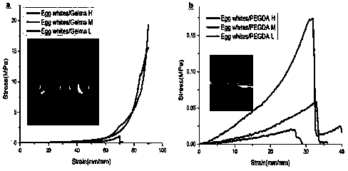 Composite film based on egg white and methylacrylic acid derived polymer as well as application of composite film to cultivation of stem cells