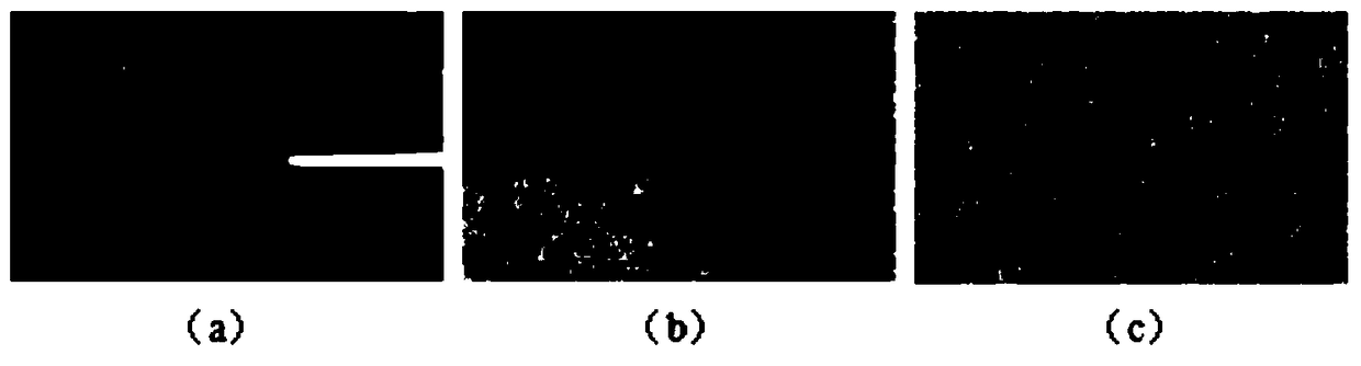 A Method of Infrared Polarization and Light Intensity Image Fusion Guided by Multi-feature Objective Function