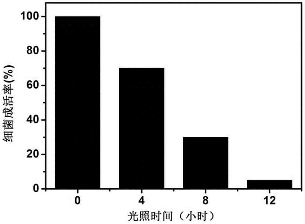 Carbon quantum dot visible light photocatalyst coating and preparation method thereof